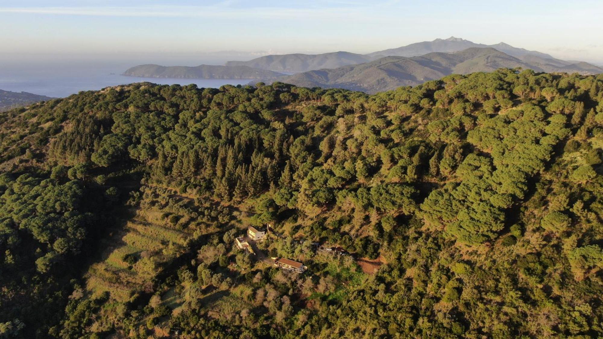 포르투 아주로 Aria Di Collina - Isola D'Elba 아파트 외부 사진